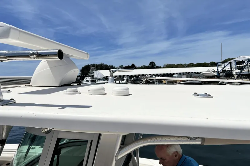 Purr-fect Cat Yacht Photos Pics 