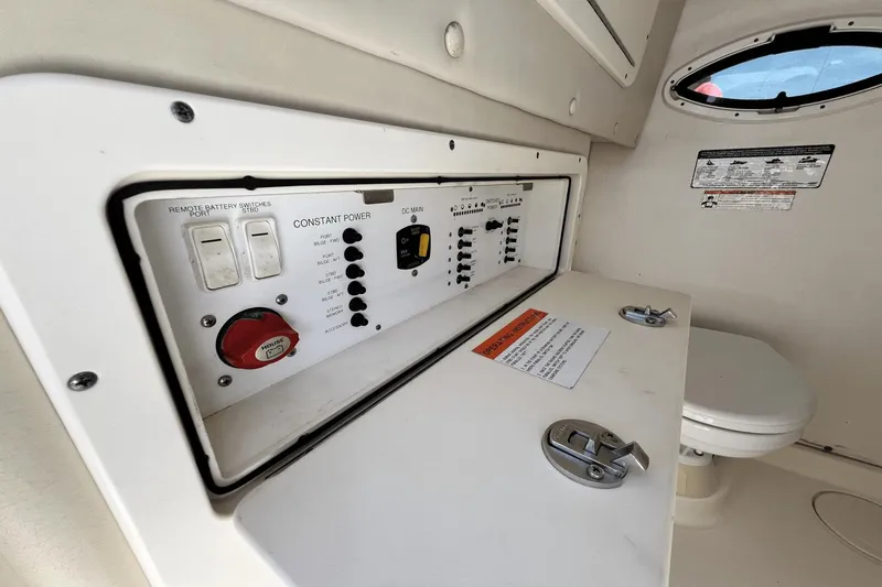 Purr-fect Cat Yacht Photos Pics 