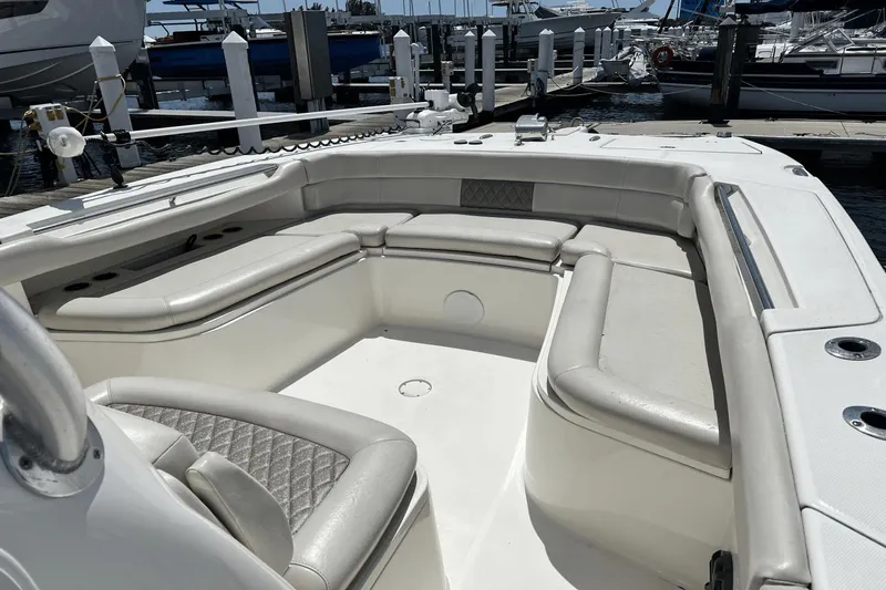 Purr-fect Cat Yacht Photos Pics 