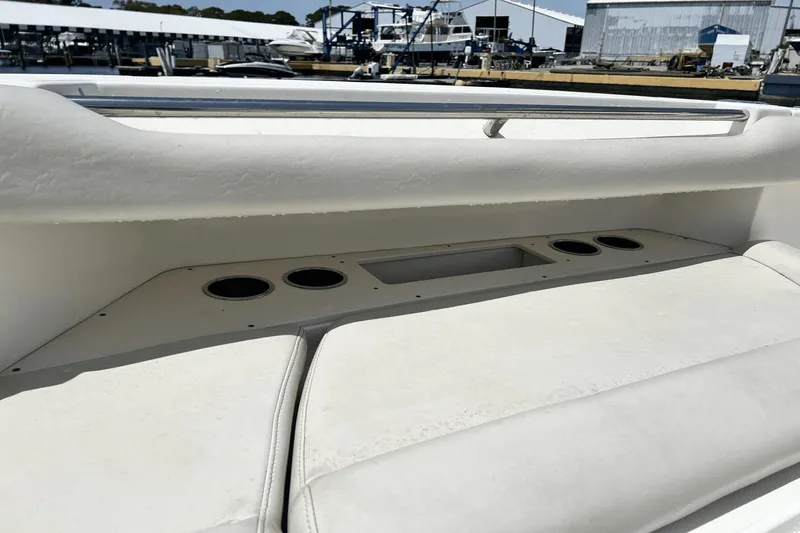 Purr-fect Cat Yacht Photos Pics 