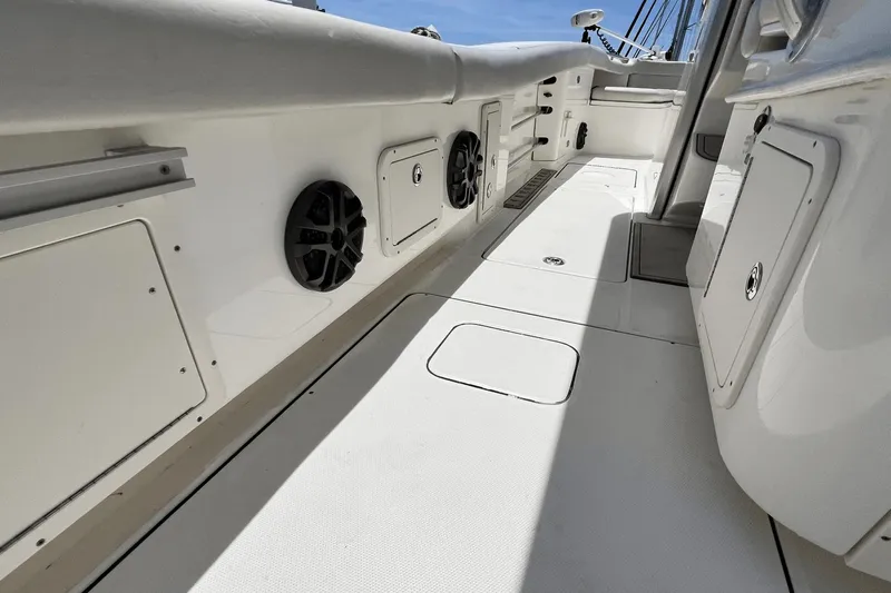 Purr-fect Cat Yacht Photos Pics 