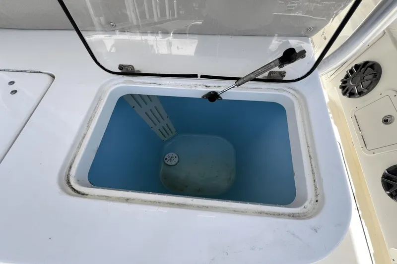 Purr-fect Cat Yacht Photos Pics 