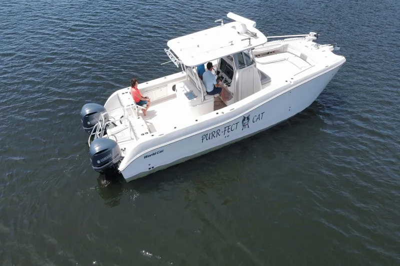 Purr-fect Cat Yacht Photos Pics 