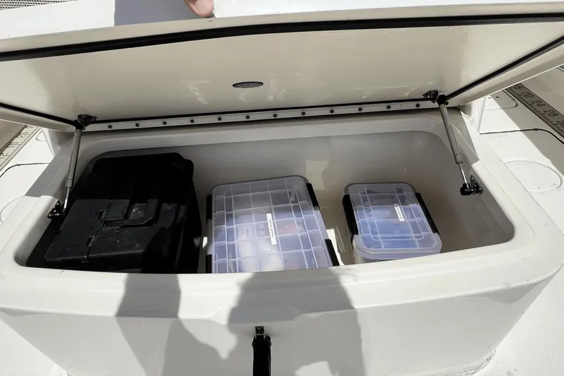 Purr-fect Cat Yacht Photos Pics 