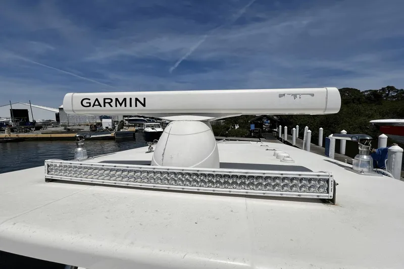 Purr-fect Cat Yacht Photos Pics 