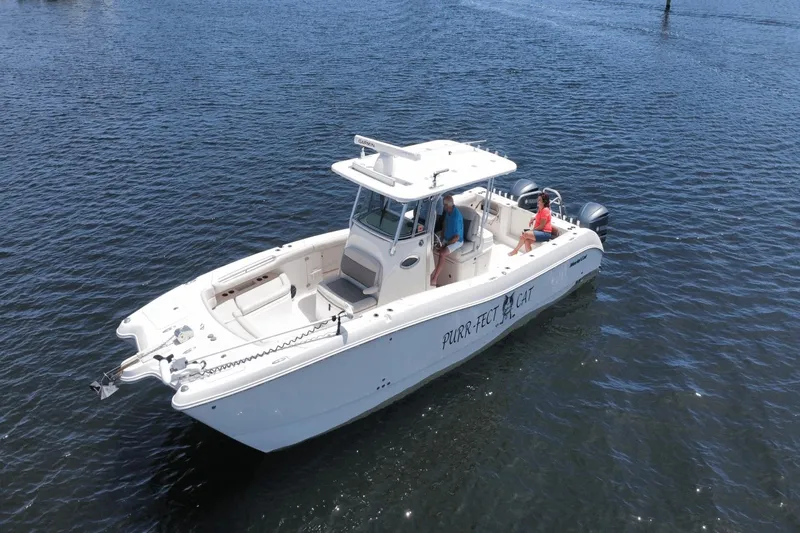 Purr-fect Cat Yacht Photos Pics 