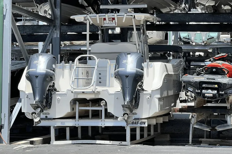 Purr-fect Cat Yacht Photos Pics 