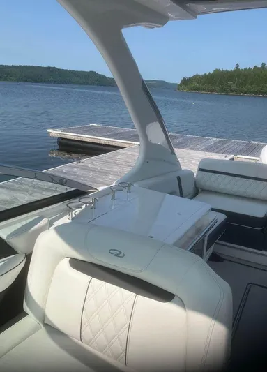  Yacht Photos Pics 2024 Regal 29 OBX boat interior with elegant seating by a serene lake.