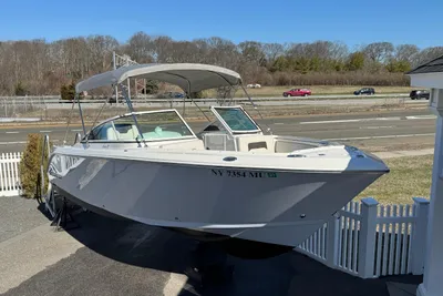 Sailfish 226