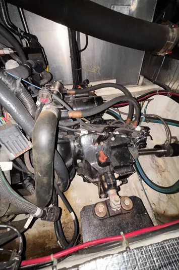 Busy Living Yacht Photos Pics 