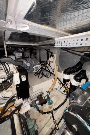 Busy Living Yacht Photos Pics 