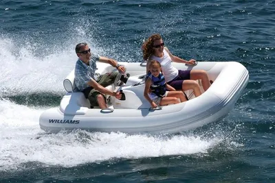 2010 Williams Jet Tenders Turbojet 285