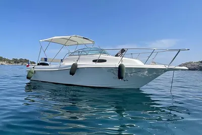 1995 Wellcarft EXCEL 23 WA