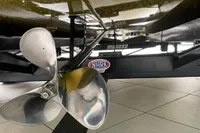 1960 Sanger Panic Mouse