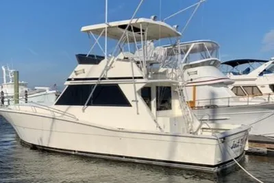 Viking Boats 41 Convertible