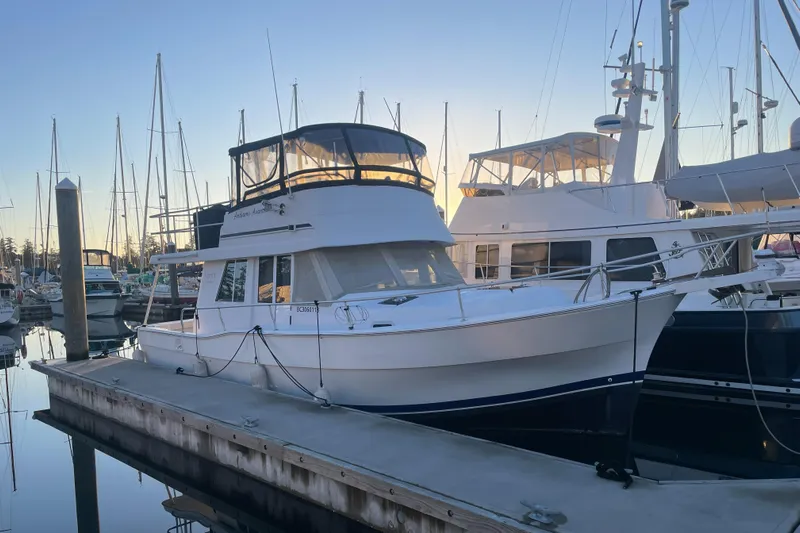 Andiamo Avanti Yacht Photos Pics 