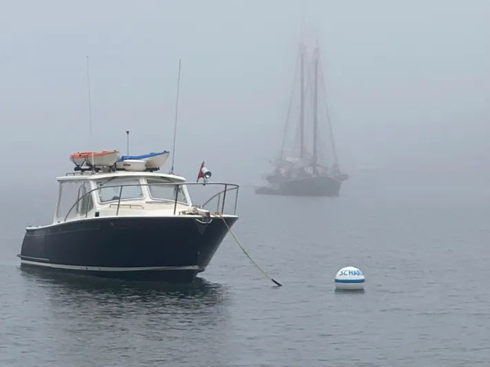 Wharf Rat Yacht Photos Pics 