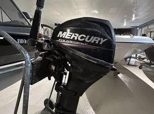 2018 Mercury F20 MLH