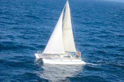 Simpson 44