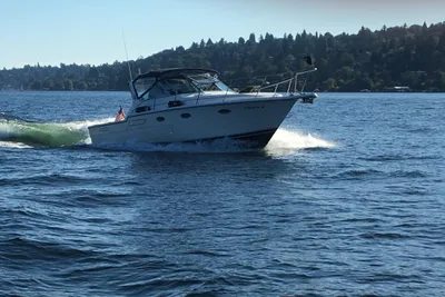 Trojan 10 Meter Express 330