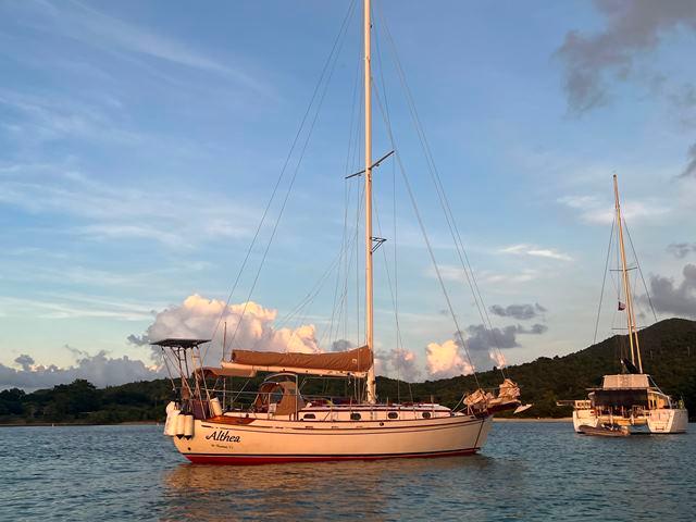 信頼も高い Tayana 37 boats for sale | YachtWorld その他