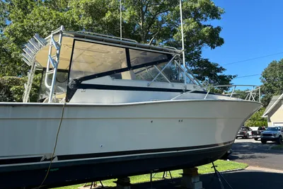 Viking VIKING EXSPRESS CRUISER