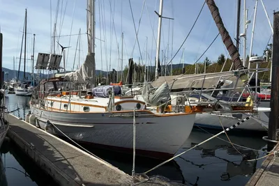 Tayana 37