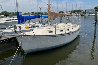 Island Packet 31