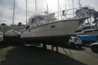 1996 Nimbus Trawler 37 on dry dock, surrounded by other boats and vehicles.