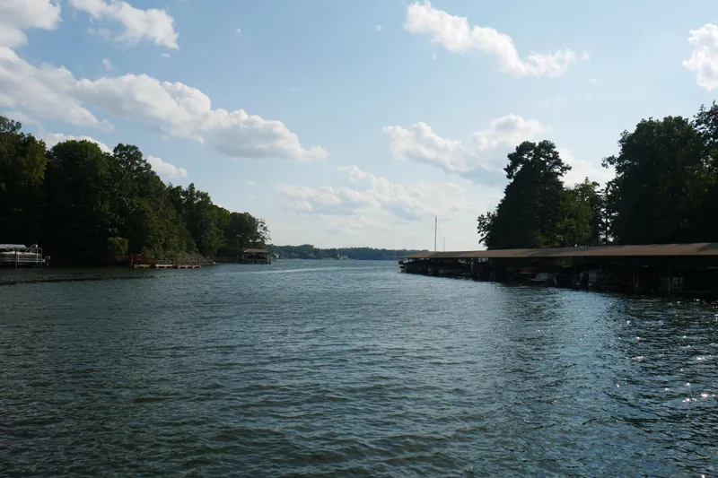  Yacht Photos Pics Calm lake view with trees and docks under a partly cloudy sky.