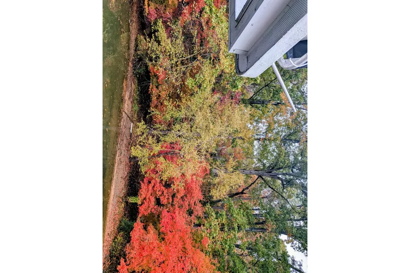  Yacht Photos Pics 1996 Stardust Cruiser boat overlooking vibrant autumn foliage by a serene riverbank.