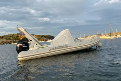 2010 Capelli TEMPEST 690