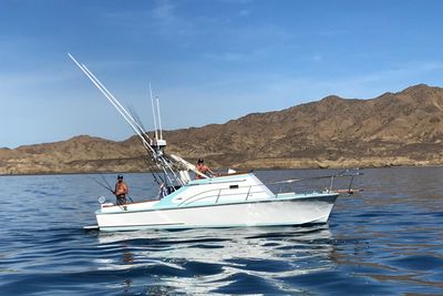 1973 Ditmar & Donaldson Open/Express Sportfisherman