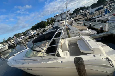 Sea Ray 290 Amberjack