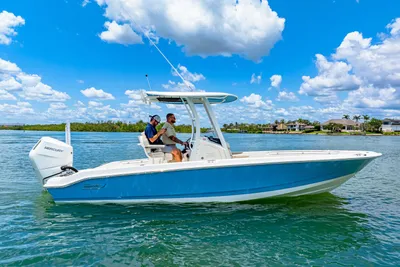Boston Whaler 250 Dauntless