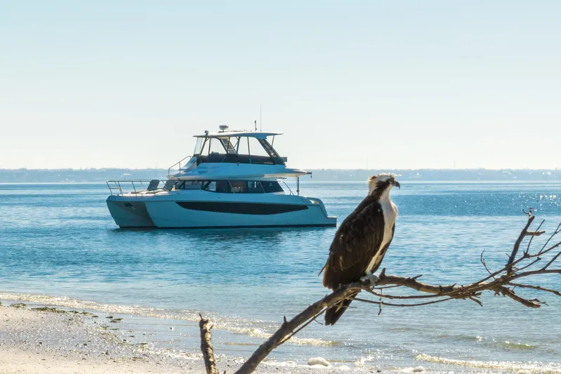 Aquila 42 Yacht Photos Pics 