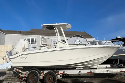 Boston Whaler 250 Dauntless