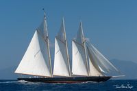 2010 Custom Van der Graaf