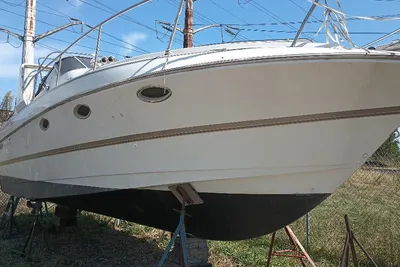 Larson 310 Mid Cabin