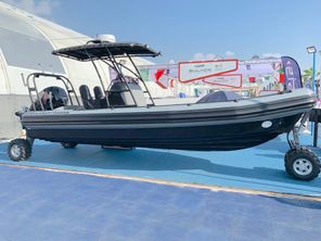 Ocean Craft Marine 8.4 AMP