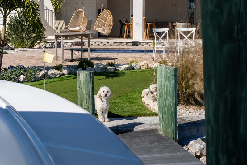  Yacht Photos Pics Small dog on dock near Jupiter 34 FS boat, with patio and greenery in background.