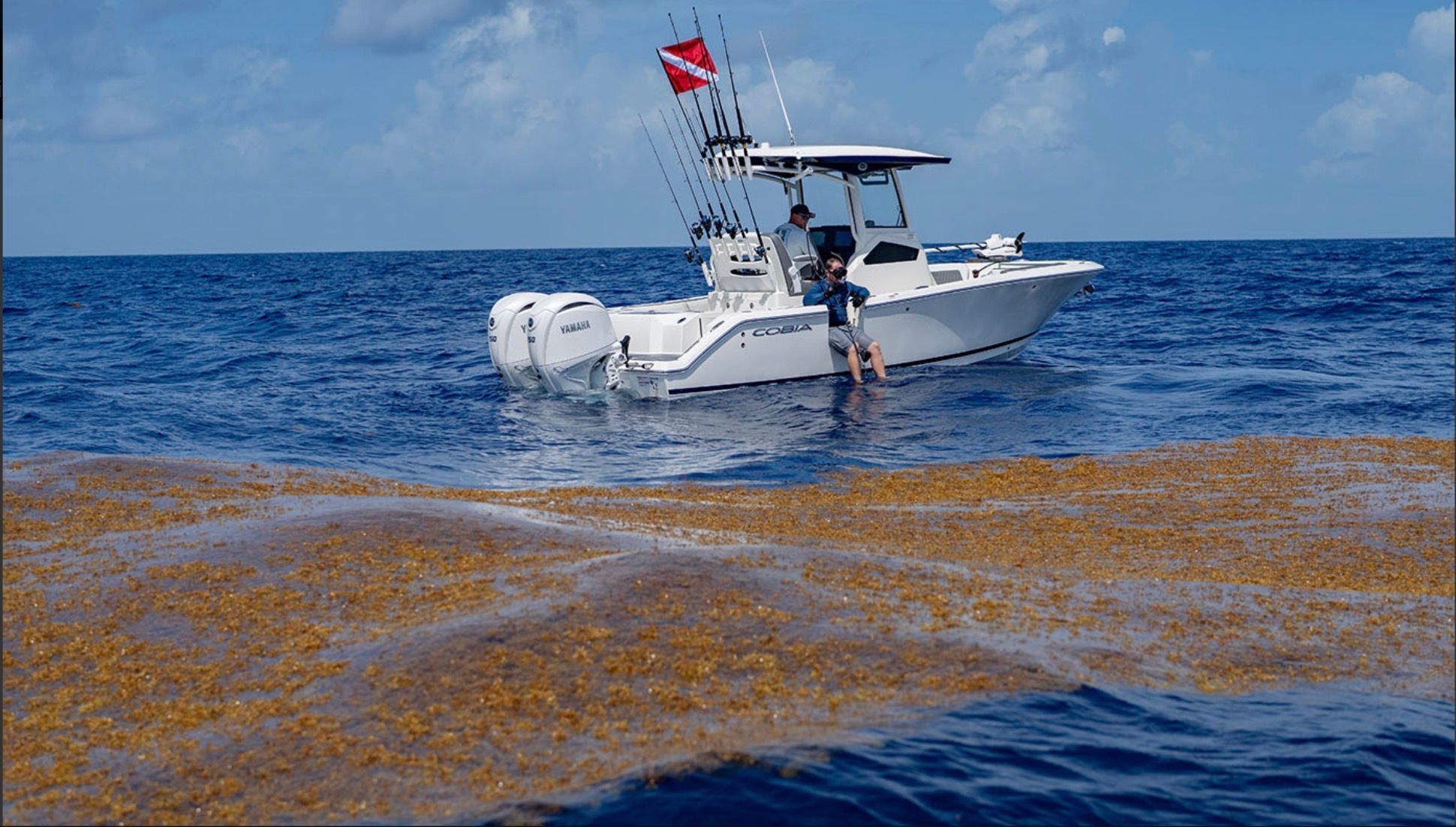 2026 COBIA 245 CC - Image 4