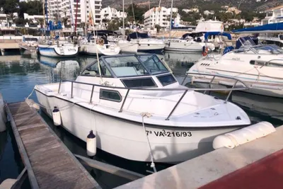 1992 Sea Pro 220 sport cuddy