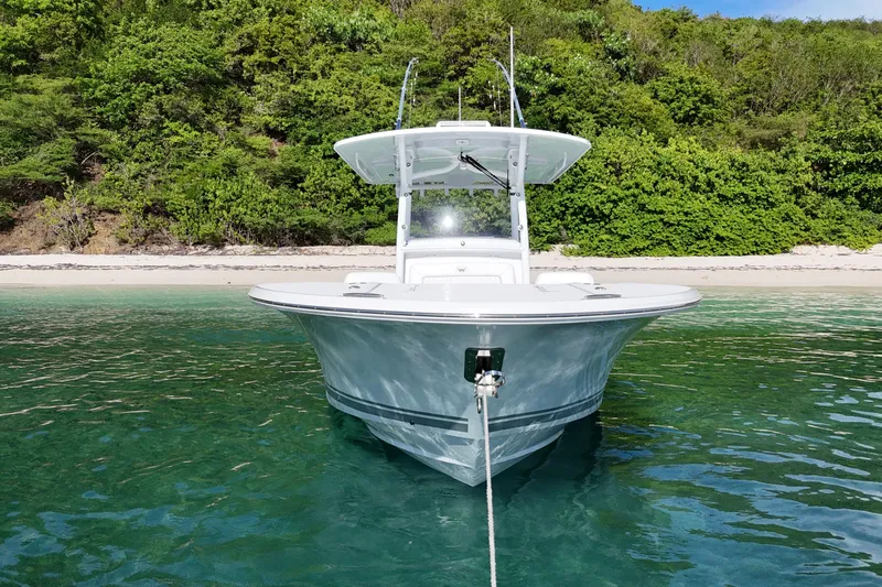  Yacht Photos Pics 2024 Southport 30 FE boat anchored in clear water near a lush, green shoreline.