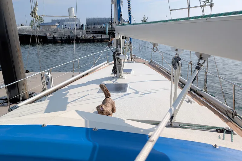 Iteration Yacht Photos Pics Sailing yacht Amel 53 Super Maramu, 1994, docked with a cat on deck.