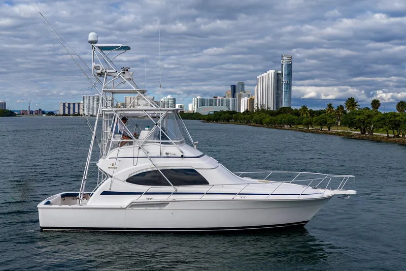Vet Billz Yacht Photos Pics 2001 Bertram 390 yacht cruising near city skyline under cloudy skies.