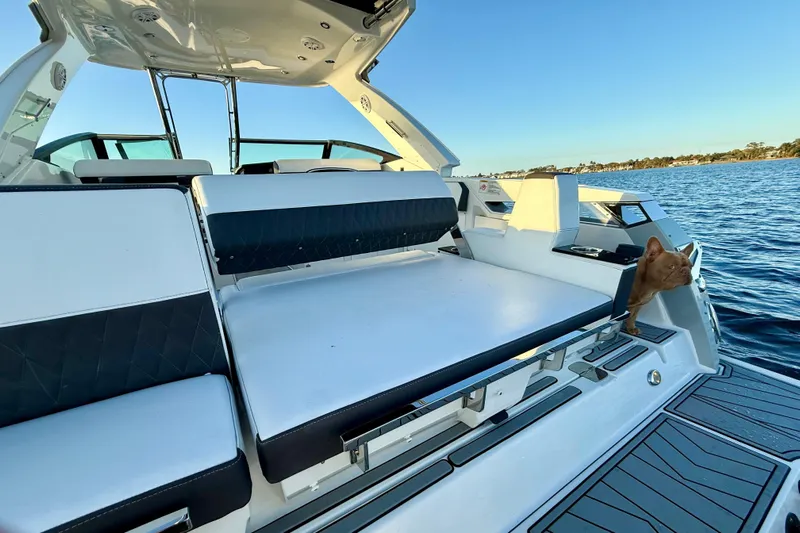  Yacht Photos Pics 2022 Monterey 385SS Super Sport boat interior with a cat enjoying the view.