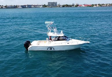 Pursuit 3070 Offshore