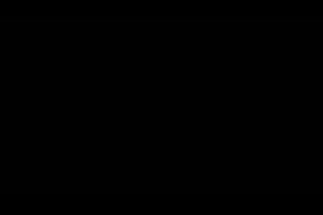 Video Placeholder