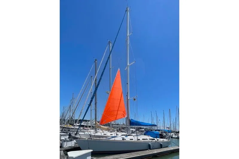 White Rose Yacht Photos Pics 2003 Sabre 426 sailboat with vibrant orange sail docked in marina under clear blue sky.